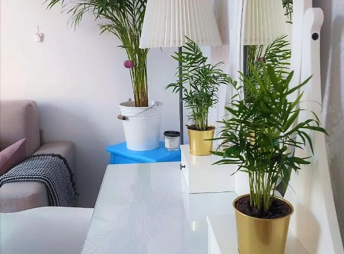 With Spacious Terrace Floramy * Opatija